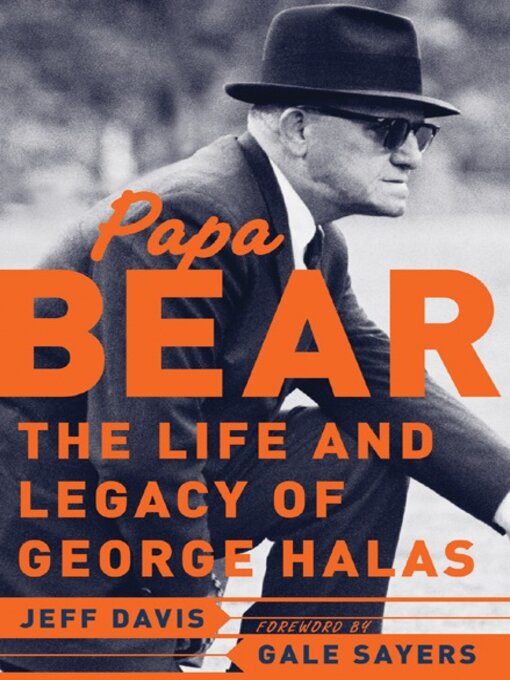 Cover image for Papa Bear